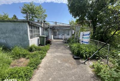 Casă cu Teren 456 Mp în Chitila - 4