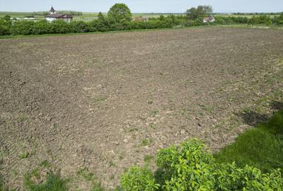 Teren Intravilan de 3,090 mp in Cuvin - 11