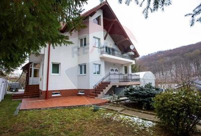 Casa / Vila cu 5 camere de inchiriat in Luncani, Bacau - 17