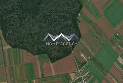 Parcelă teren 433 mp lângă pădure - 1