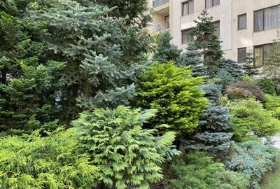 Garsoniera Herastrau North Lake - 11