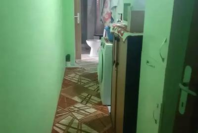 Casă cu 3 camere cu Teren 1930 Mp în Tulgheș - 10