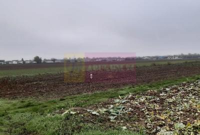 Teren Investiție aproape de București - 8