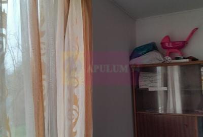 BARCANESTI -  casa +curte+teren 16k mp - 29