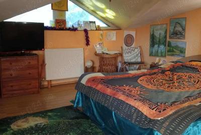 Vanzare casa 1 Mai-Chibrit , str Dej - 7