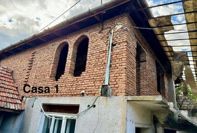 Casa de vanzare la Sebis judet arad - 7