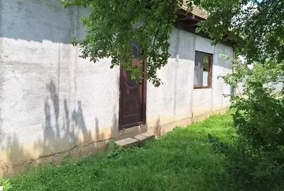 Casa batraneasca si teren langa Bucuresti - 3