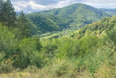 Teren de 4420 mp, în Vinețisu - 1