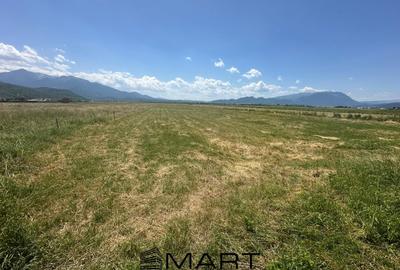 Teren Construcții intravilan de 7500 mp, în Râșnov - 8