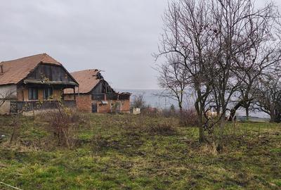 Casă cu 3 camere cu Teren 2000 Mp în Central - 3