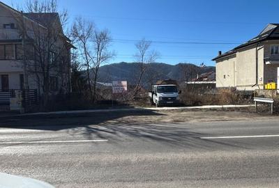 Spațiu comercial, în Pârâul Mare - 3