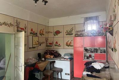 Casă cu Teren 1480 Mp în Liebling - 3