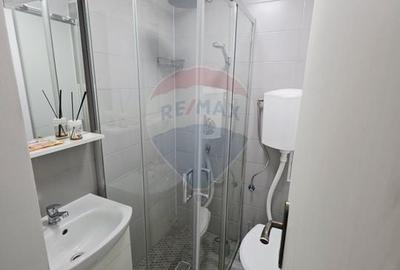 Apartament cu 1 camere de vanzare in zona 1 Mai - 12