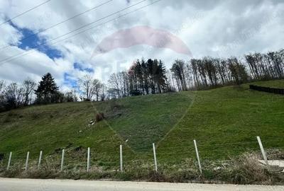 Teren generos, dar ieftin, in Namae?ti - Arge? - 11