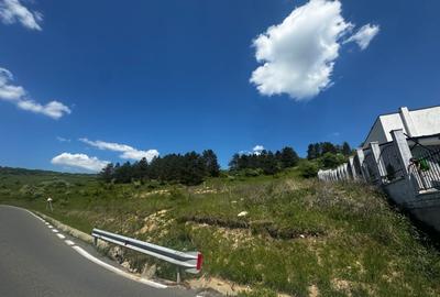 Teren 1370mp cu front de 38 mp Donath Park Teren 1370mp cu front de 38 mp Donath Park - 3