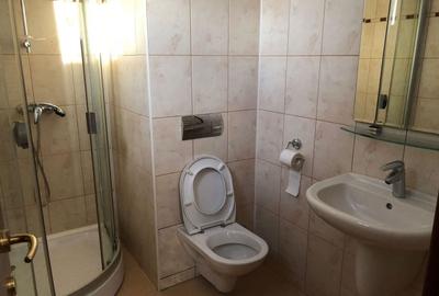 Apartament cu 3 camere decomandat în Moșilor - 14