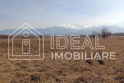 Teren agricol extravilan de 25500 mp, în Sud-Est - 3