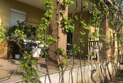 Casă cu 9 camere decomandat cu Teren 3000 Mp în Vladimirescu - 6