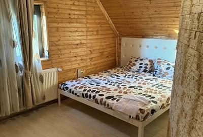 Cabana de inchiriat ranca - 3