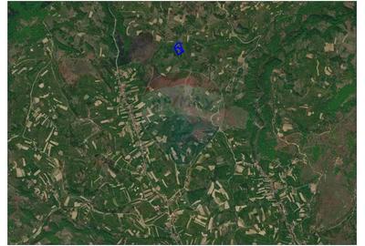 Oportunitate turistica in comuna Rosia 10.059 mp teren - 3