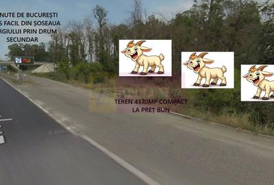 Teren la Jonctiunea dintre A0 si DN5 - 3