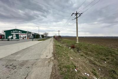 Teren de 24100 mp, în Gura Ocniței - 1