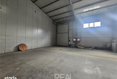 Spațiu comercial, de 1,000 mp, în Cernica - 4