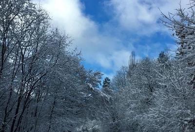 Teren intravilan 5660 mp - 10