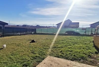 Vând teren Sânpetru Brașov cu utilități - 2