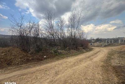 Teren de 1334 mp, în Moldovenești - 6