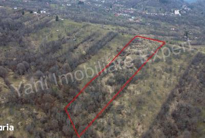 Teren de 14328 mp, în Nucșoara - 8