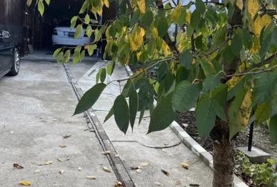 Casă cu 4 camere cu Teren 692 Mp în Vlădesti - 2