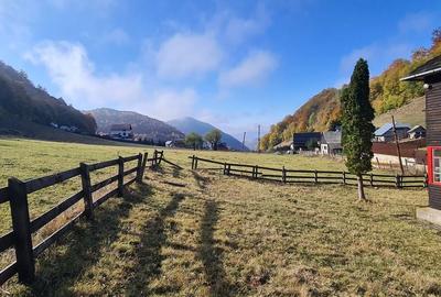 Casă cu 7 camere cu Teren 2000 Mp în Dâmbovicioara - 10