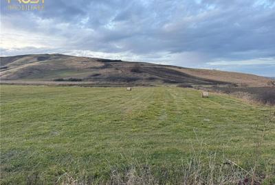 Teren Extravilan I 6000 Mp I Acces la drum | Cojocna - 2