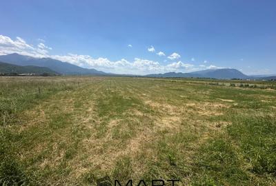 Teren de 7500 mp, în Râșnov - 6