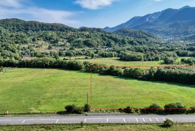 Cheile Rasnoavei DN73A, teren extravilan 3.000 mp, zona de vis, ideal investitie - 5