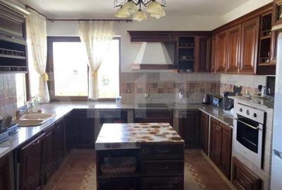 Pensiune de vanzare, 360 mp utili, 7500 teren, Zona Turistica, Risca - 10