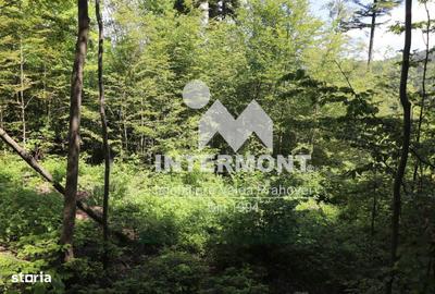 Spațiu comercial, în Central - 9