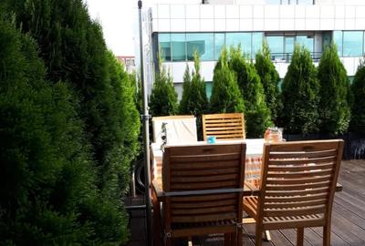 Apartament cu 4 camere decomandat, mobilat în Domenii - 11