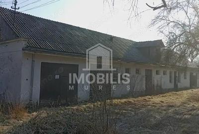 Teren de 13134 mp, în Budiului - 6