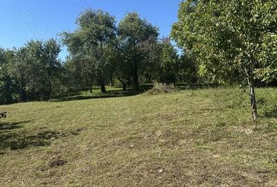 Casă cu 5 camere cu Teren 1939 Mp în Talea - 5