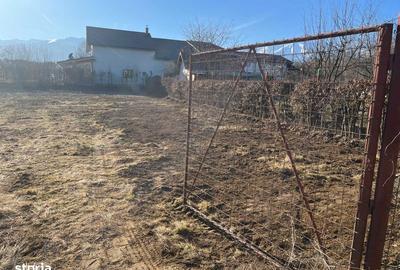 Teren de 1000 mp, în Central - 4