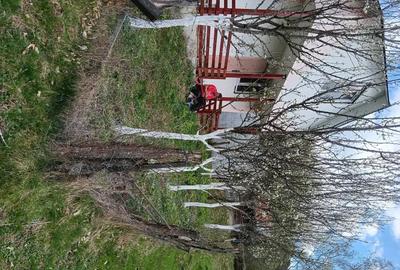 Casă cu Teren 150 Mp în Roșia Montană