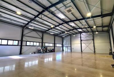 Spațiu comercial, de 900 mp, în Lugojului - 5