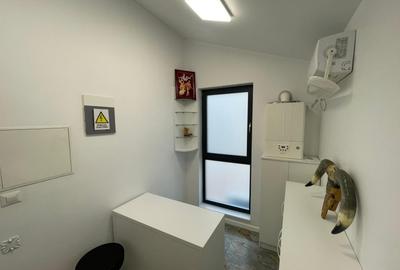 Spațiu comercial, de 66.199996948242 mp, în Brazda lui Novac - 7