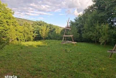 Teren de 5524 mp, în Poiana - 2