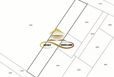 Teren intravilan de vanzare in Hemeius Bacau 1725 mp - 3