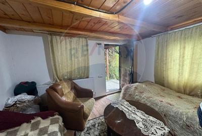 DE VANZARE - Cabana / casa vacanta in COAS - 11