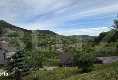 Casă cu 3 camere cu Teren 4300 Mp în Meteș - 7