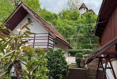 Sarmul traditiei imbinat cu confortul modern: Rezidenta de exceptie, Central, Ta Sarmul traditiei imbinat cu confortul modern: Rezidenta de exceptie, Central, Ta - 20